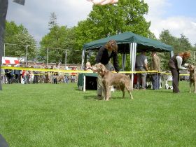 clubmatch 2004 031.jpg