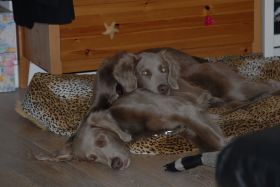 DSC_0201.JPG