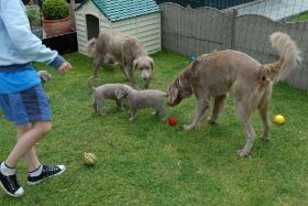 2008 05 26 030.JPG