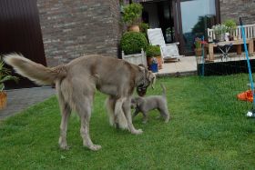 2008 05 26 105.JPG