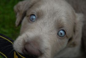 2008 05 26 055.JPG