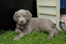 2008 05 26 089.JPG
